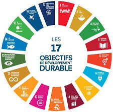 Lire la suite à propos de l’article Progrès pour l’atteinte des Objectifs de développement durable (ODD): Le rapport 2025 propulse le Bénin en tête de peloton : N°1 mondial