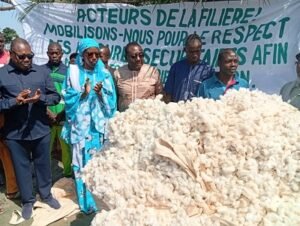 Lire la suite à propos de l’article Campagne 2025-2026 : Plus de 3,9 milliards de Fcfa pour booster la filière coton