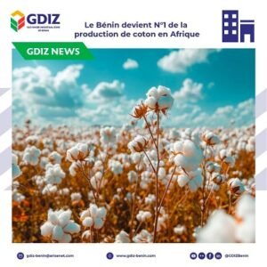 Lire la suite à propos de l’article Production de coton : La GDIZ transforme désormais 12,7 % de l&rsquo;or blanc béninois