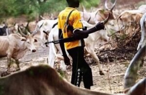 Lire la suite à propos de l’article Raid transfrontalier sanglant : 41 éleveurs peuls tués à la frontière Nigeria-Bénin