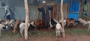 Lire la suite à propos de l’article Veille Tabaski : À Togba, les moutons du Niger attirent, leurs prix repoussent