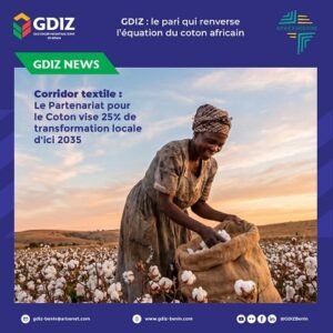 Lire la suite à propos de l’article Transformation locale du coton : La GDIZ veut renverser l’équation du coton africain
