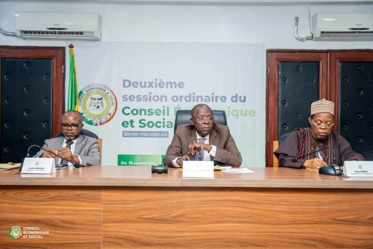 Deuxième session ordinaire du CES : Les conseils départementaux au cœur des travaux