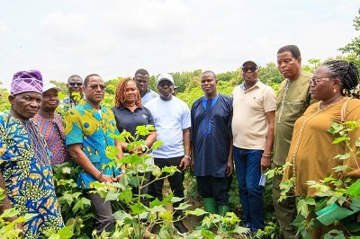 Campagne agricole 2026-2027 : Le gouvernement à l’écoute des producteurs